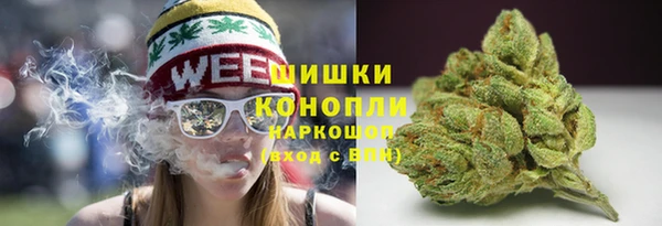 прущие грибы Бугульма