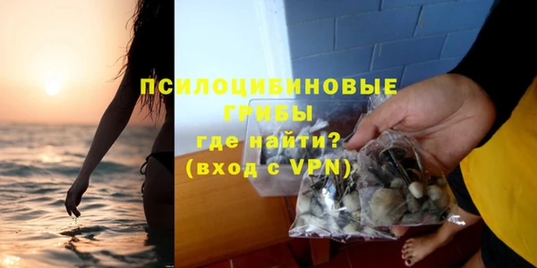 прущие грибы Бугульма