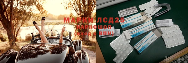 прущие грибы Бугульма