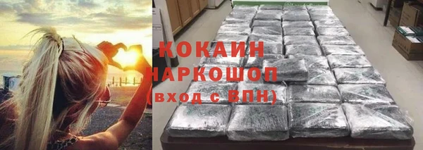 прущие грибы Бугульма
