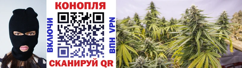 Бошки марихуана тримм  Купить закладки  Новый Оскол 
